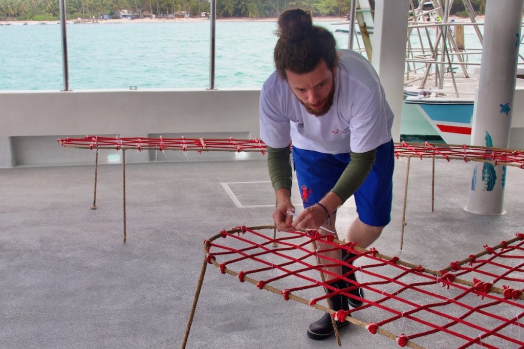 Noel Gonzáles Demonstrates How to Attach Living Coral to an Artificial Reef, Bávaro Beach , Dominican Republic