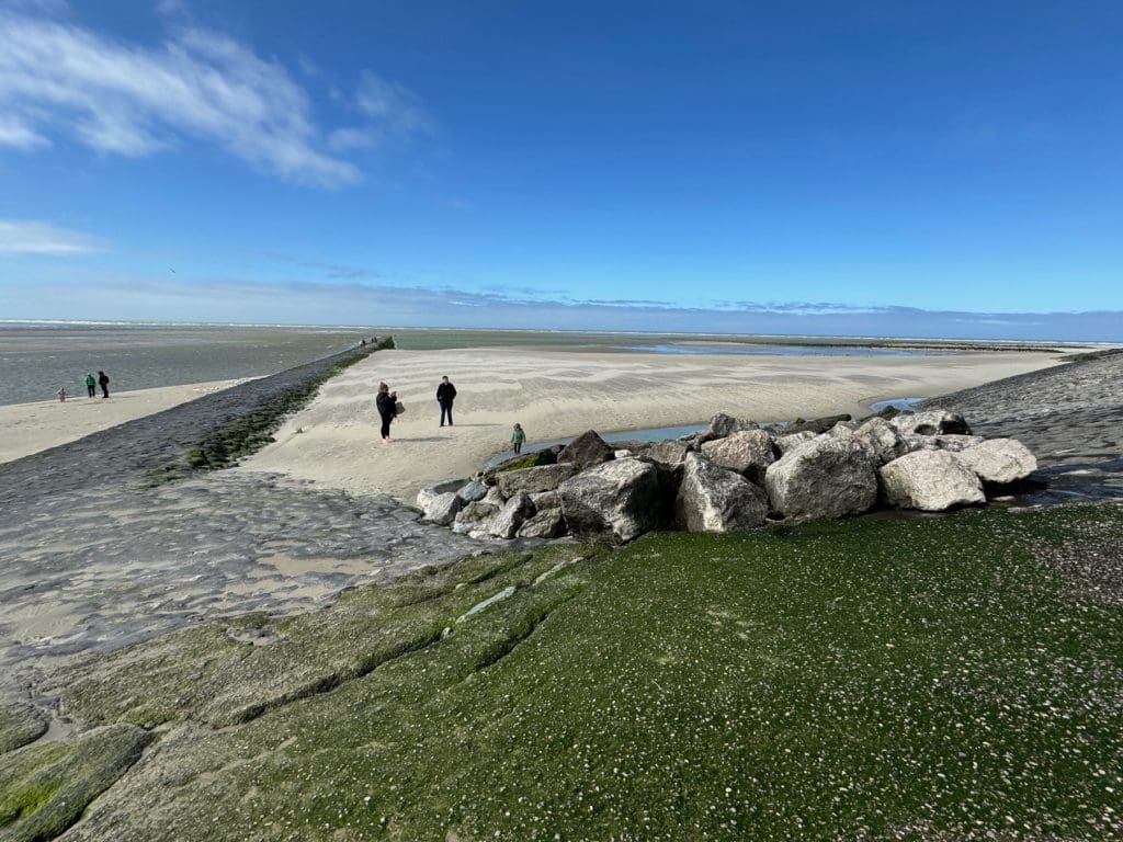 The beach at Berck, Pas-de-Calais