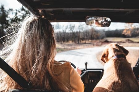 Tips to Travel With Your Pet Safely