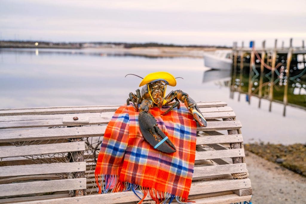 Nova Scotia Lobster Crawl 2025 Travel Begins at 40