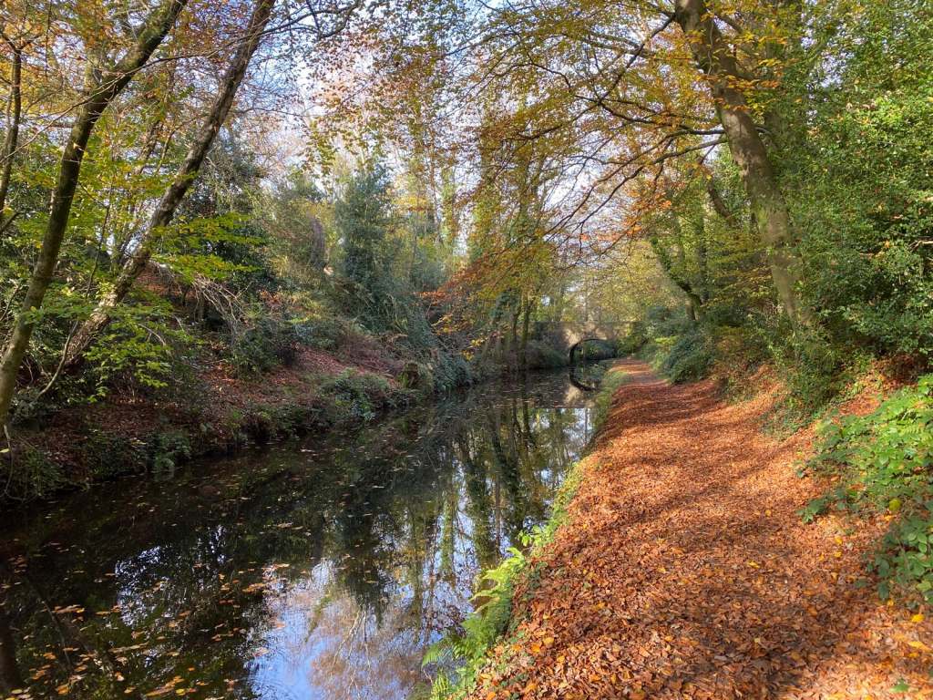 Chepstow Walking Festival