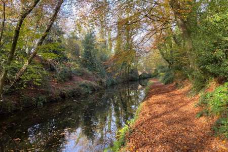 Chepstow Walking Festival