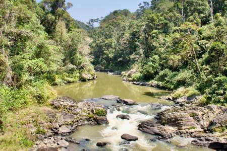 Seeking the Lemurs of Madagascar