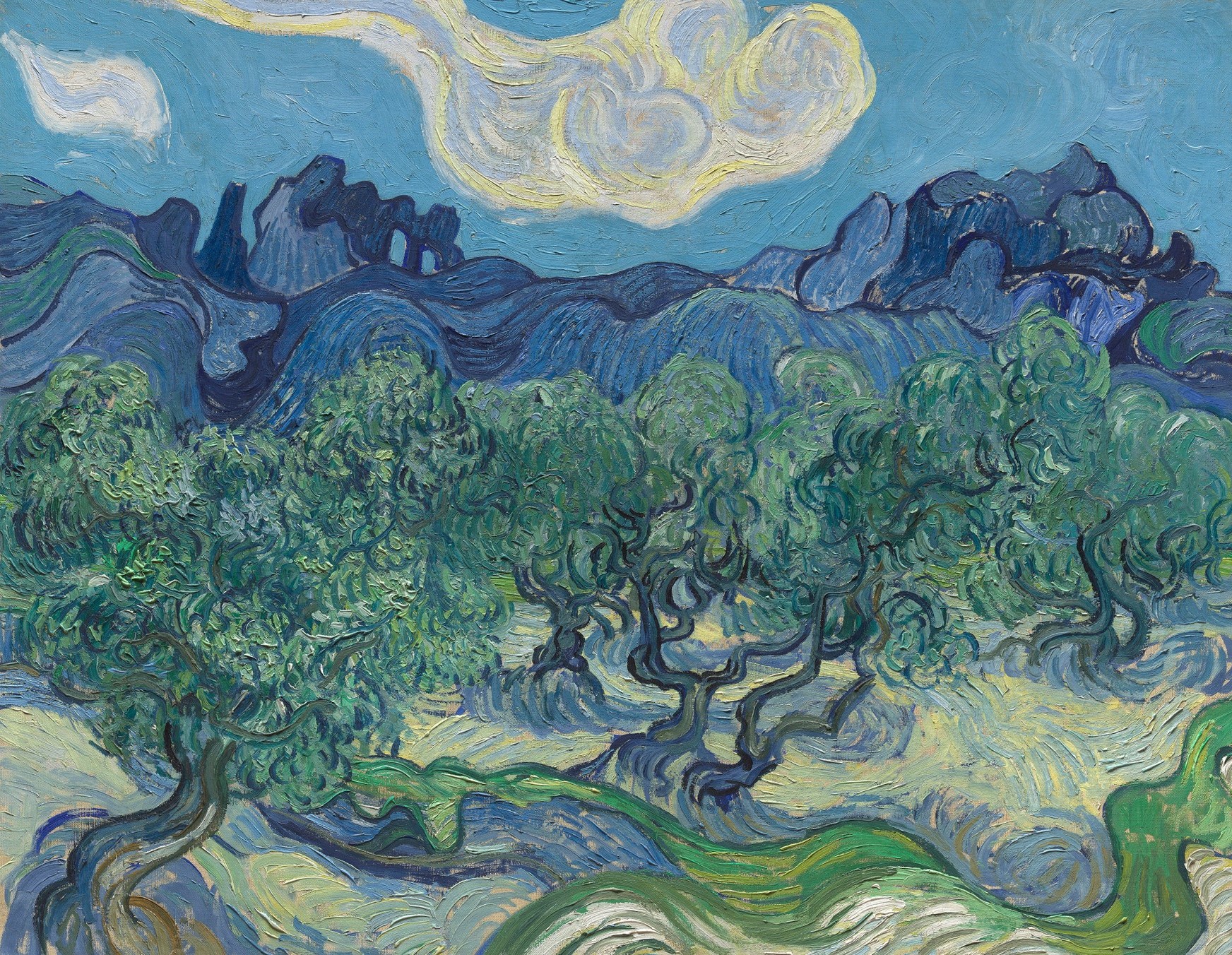 Vincent Van Gogh, Olive trees with the Alpilles in the Background, 1889©The Museum of Mondern Art, New York, Mrs John Hay Whitney Bequest