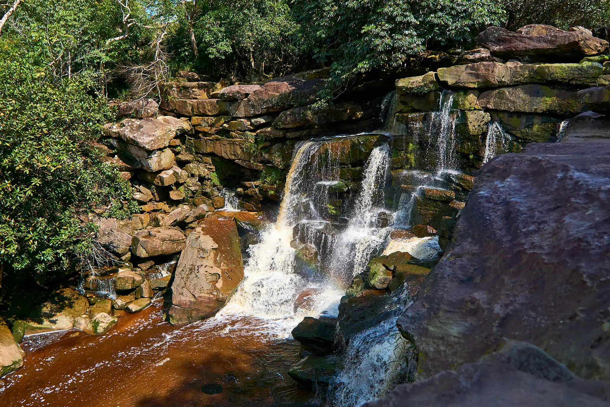 Bokor Mountain 