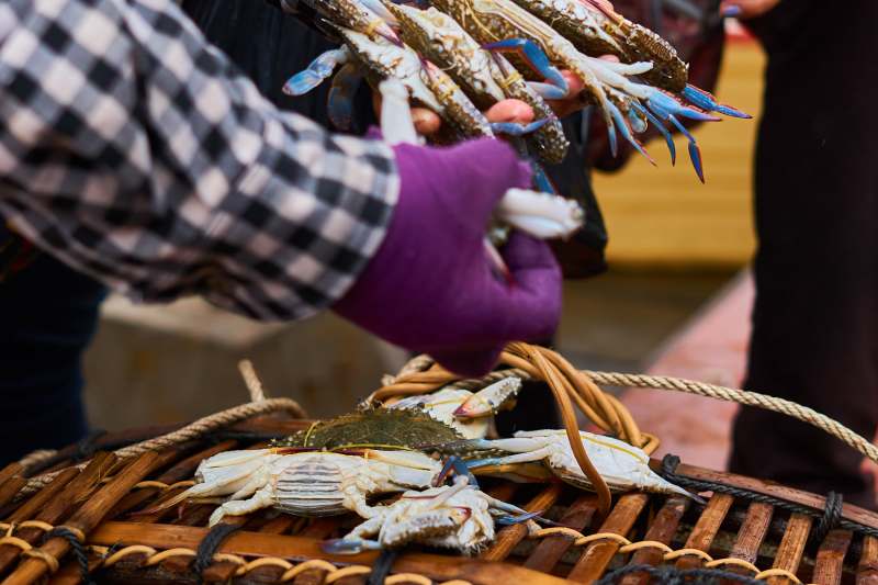 Kep Crab Market