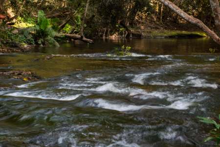 Kulen Mountain