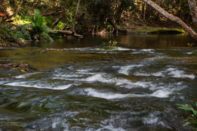 Kulen Mountain