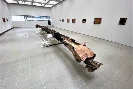 Redoubt: Matthew Barney, Hayward Gallery