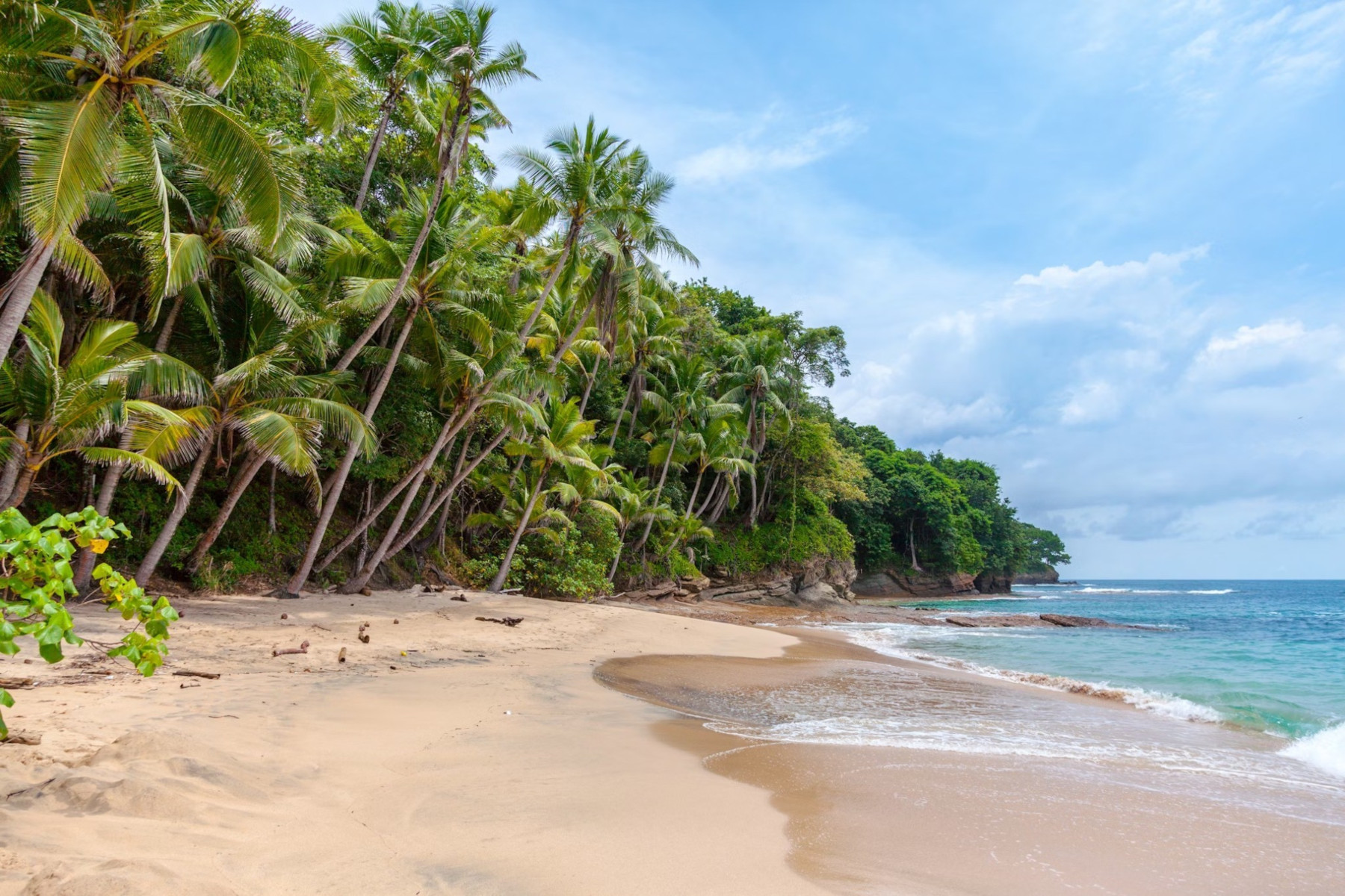 Are There Nude Beaches In Costa Rica Free Telegram Access