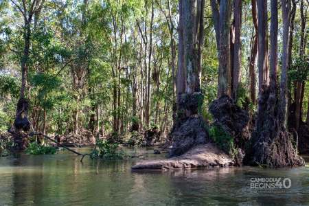 Nature and Outdoor Activities in Cambodia