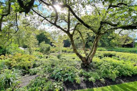 Kensington Gardens London