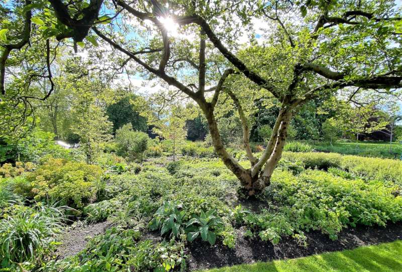 Kensington Gardens London
