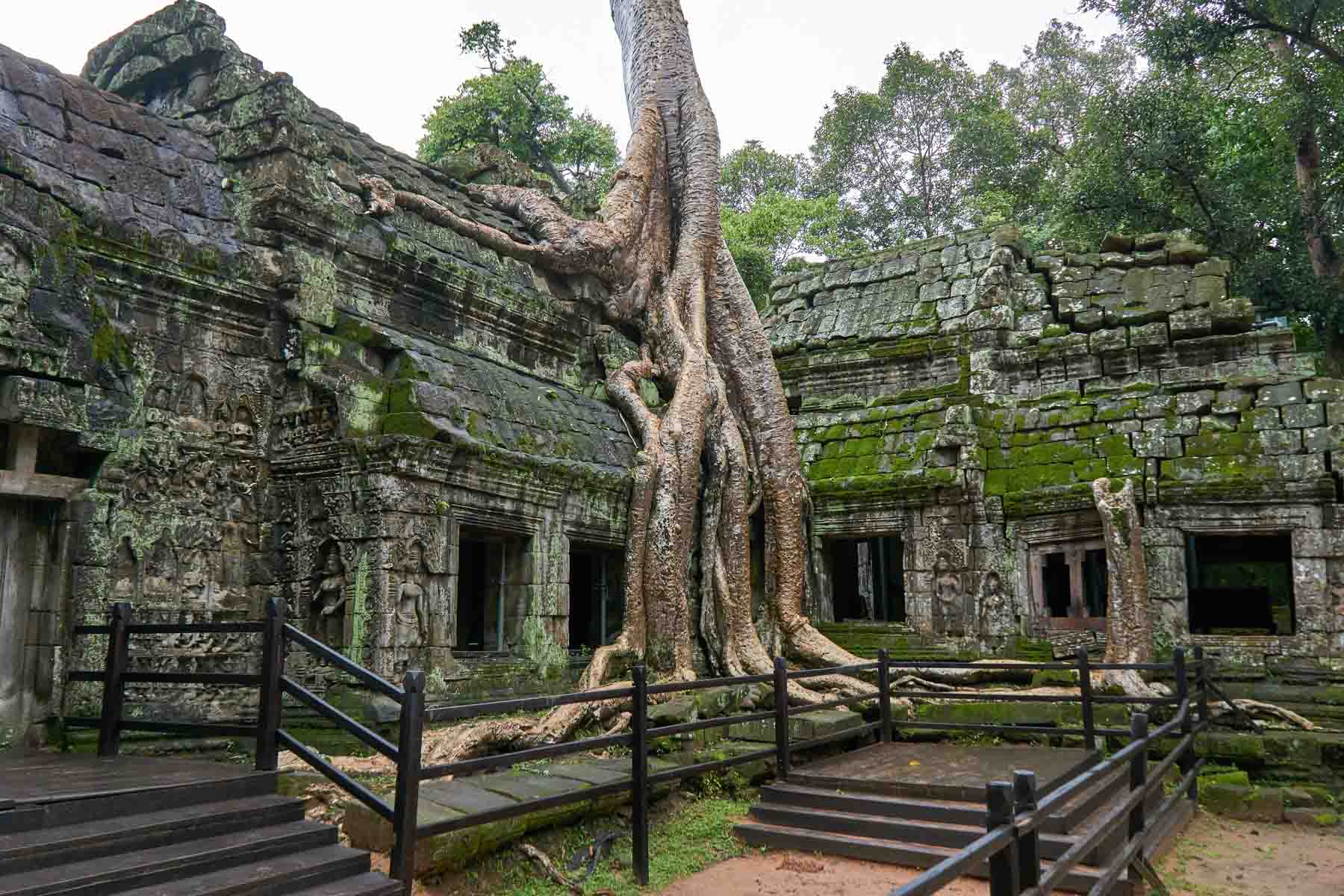 Ta Prohm