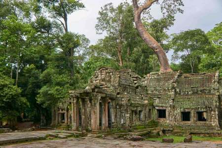 Ta Prohm Temple, Angkor