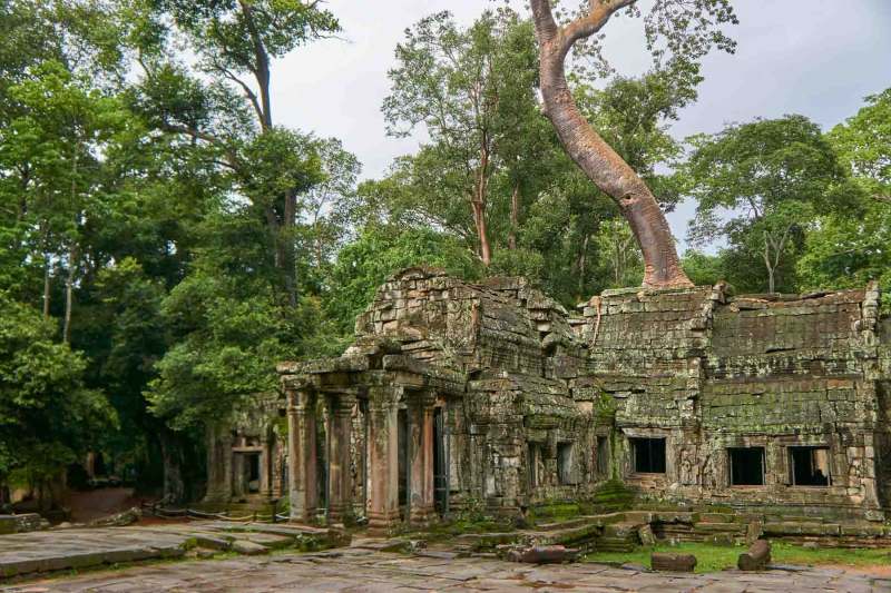 Ta Prohm Temple, Angkor