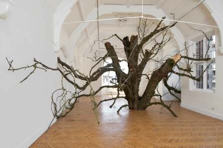 Anya Gallaccio: preserve, Turner Contemporary