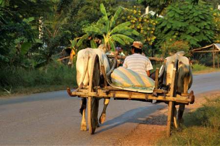 What To See in Battambang Cambodia