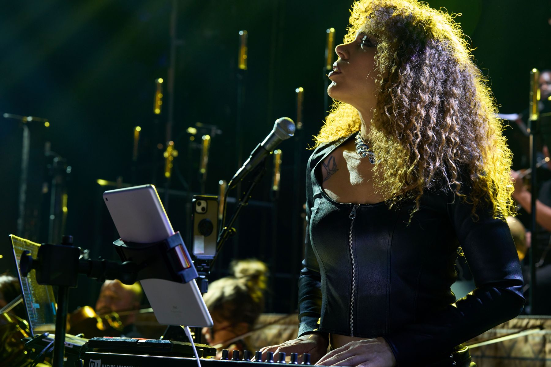 Image 1. Eliane Correa