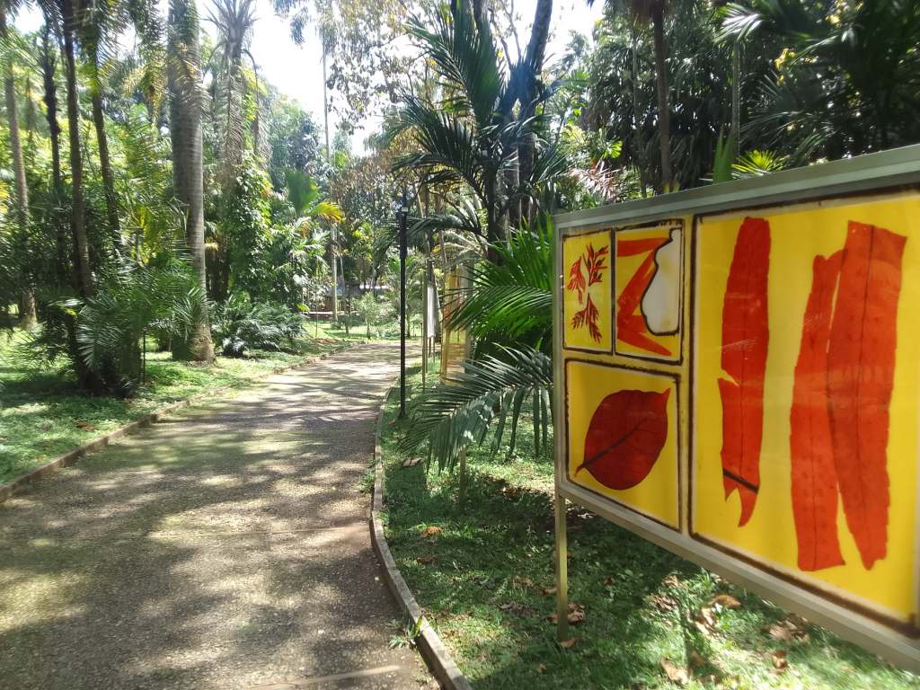 Botanical Garden Medellin