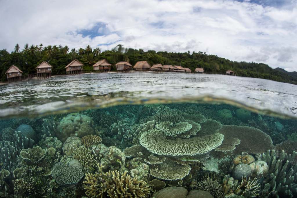 Raja Ampat