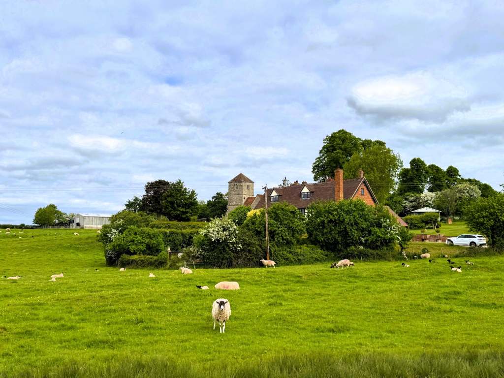 Idyllic English pastoral views from our narrow boat
