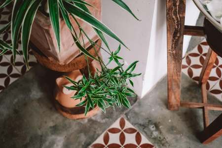 House Swapping and Home Stays: Affordable Accommodation for Longer Trips