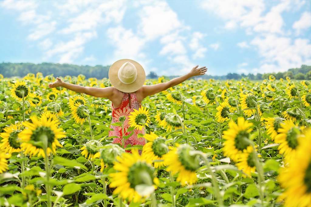woman hat sunflower pixabay