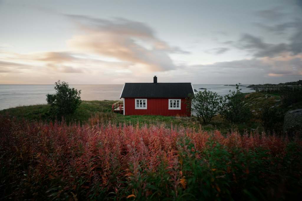 https://unsplash.com/photos/red-and-black-house-near-flower-field-TQWshKgaYUg