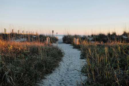 How To Get The Most Out Of Your Trip To Charleston, South Carolina