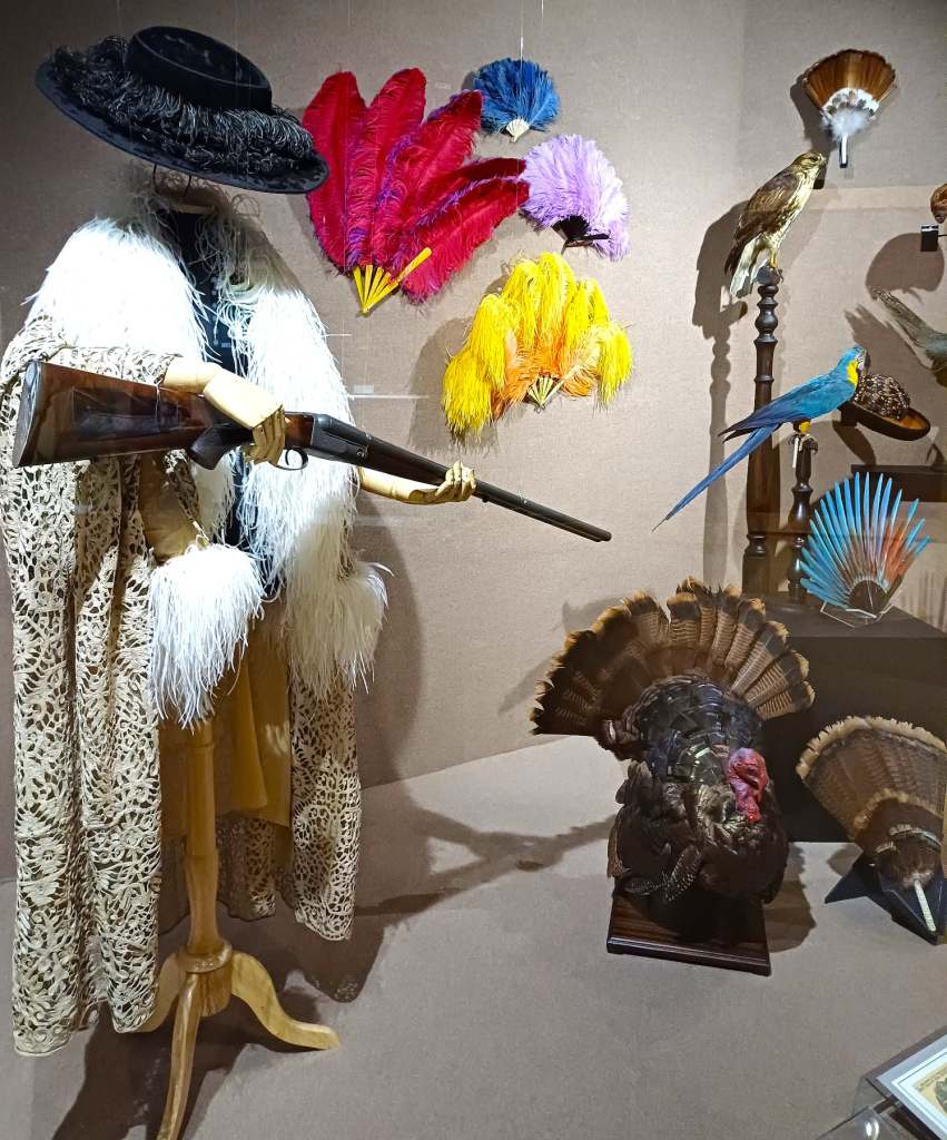 Colonial Ladies Wear, Charleston Museum