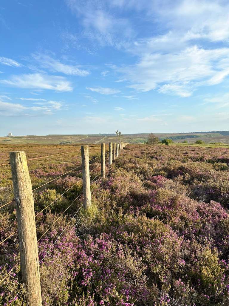 North York Moors