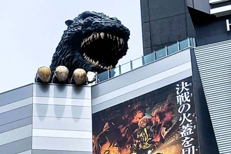 Tokyo Travel Guide Discover Shinjuku Shibuya and Neon Magic