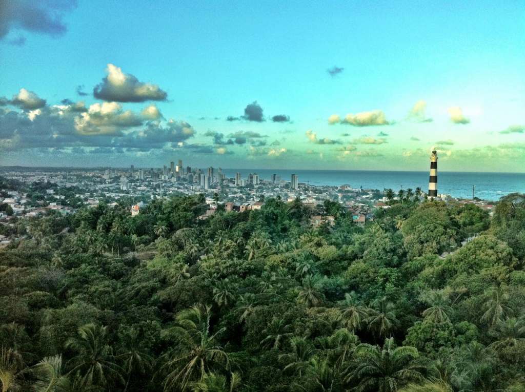 brazil jungle