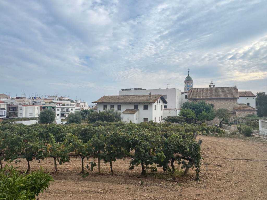 Sitges also has one of the only urban vineyards in the world
