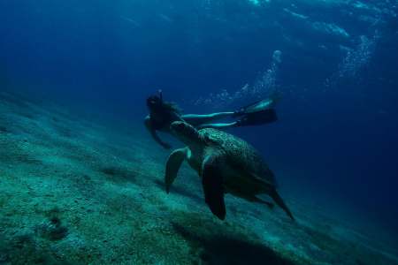 Dive into Batangas: Exploring the Top Underwater Wonders of the Philippines