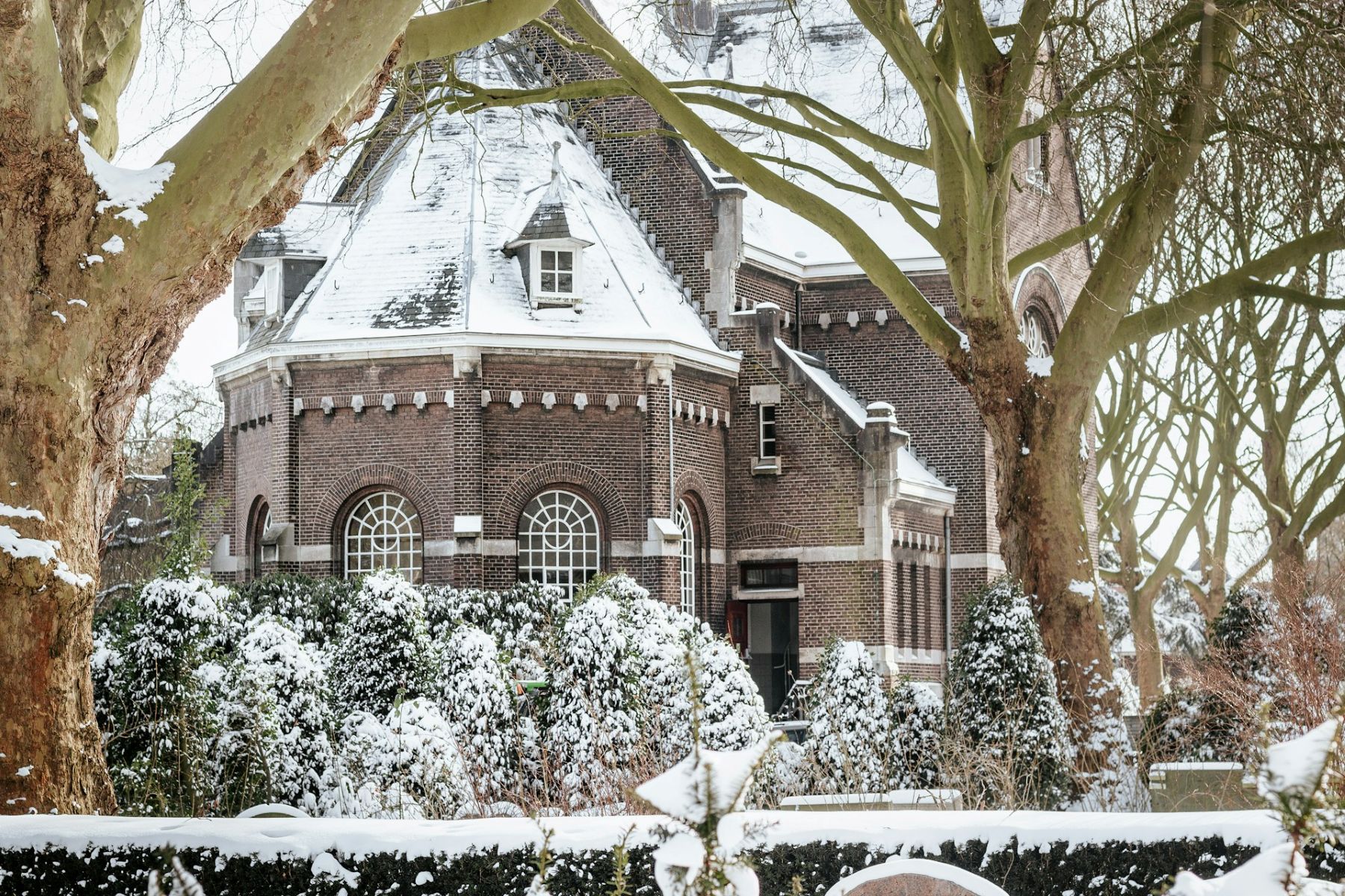 Rotterdam Winter