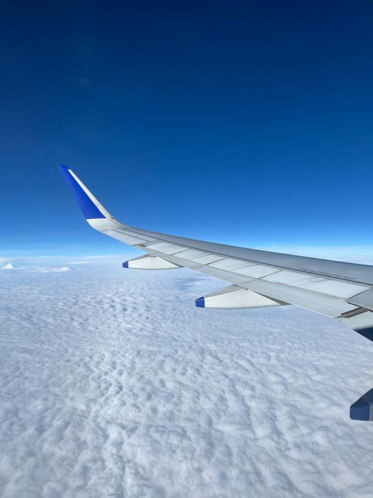 Plane wing