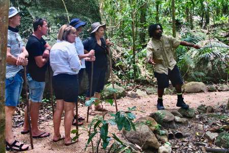 Laps of Luxury: The Best Private Tour Companies for 2025