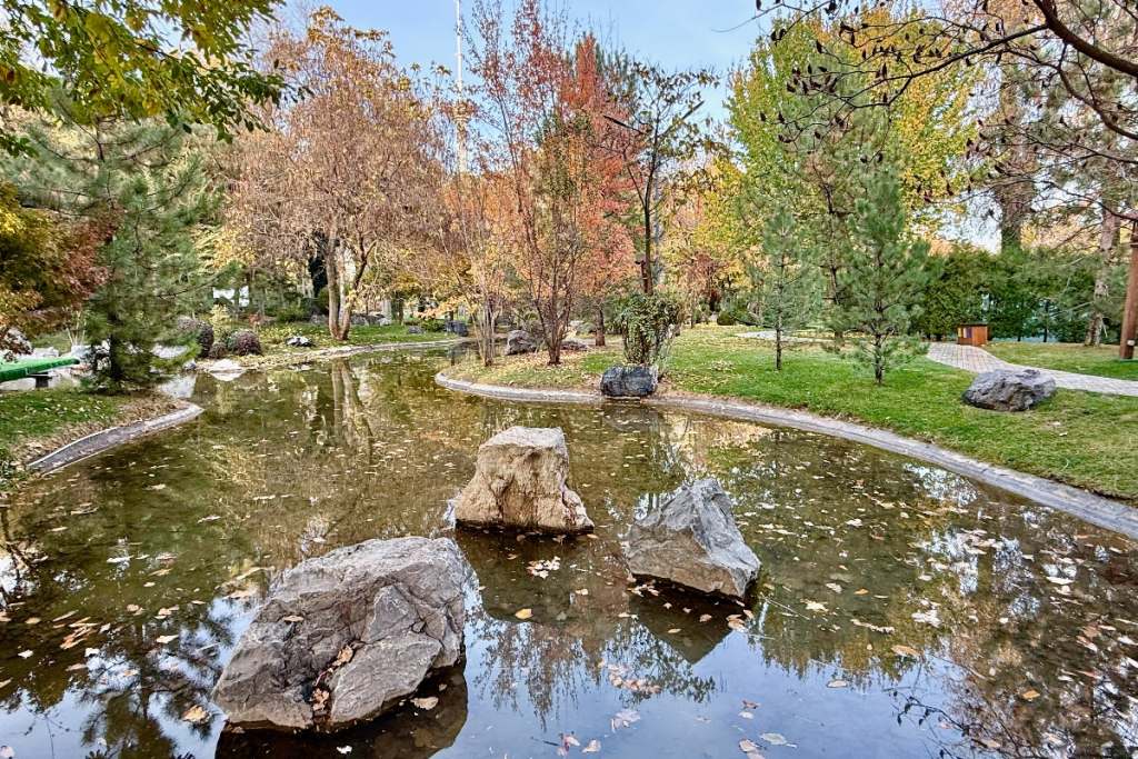 Japanese Garden in Tashkent, Uzbekistan Storks in the Japanese Garden in Tashkent, Uzbekistan
