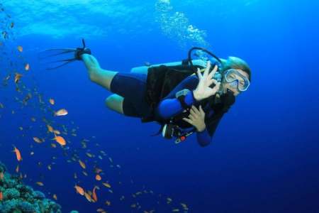 Maldives Liveaboard Diving: The Ultimate Way to Explore an Underwater Paradise