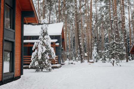 Why a Log Cabin Stay in Scotland Offers the Ultimate Escape