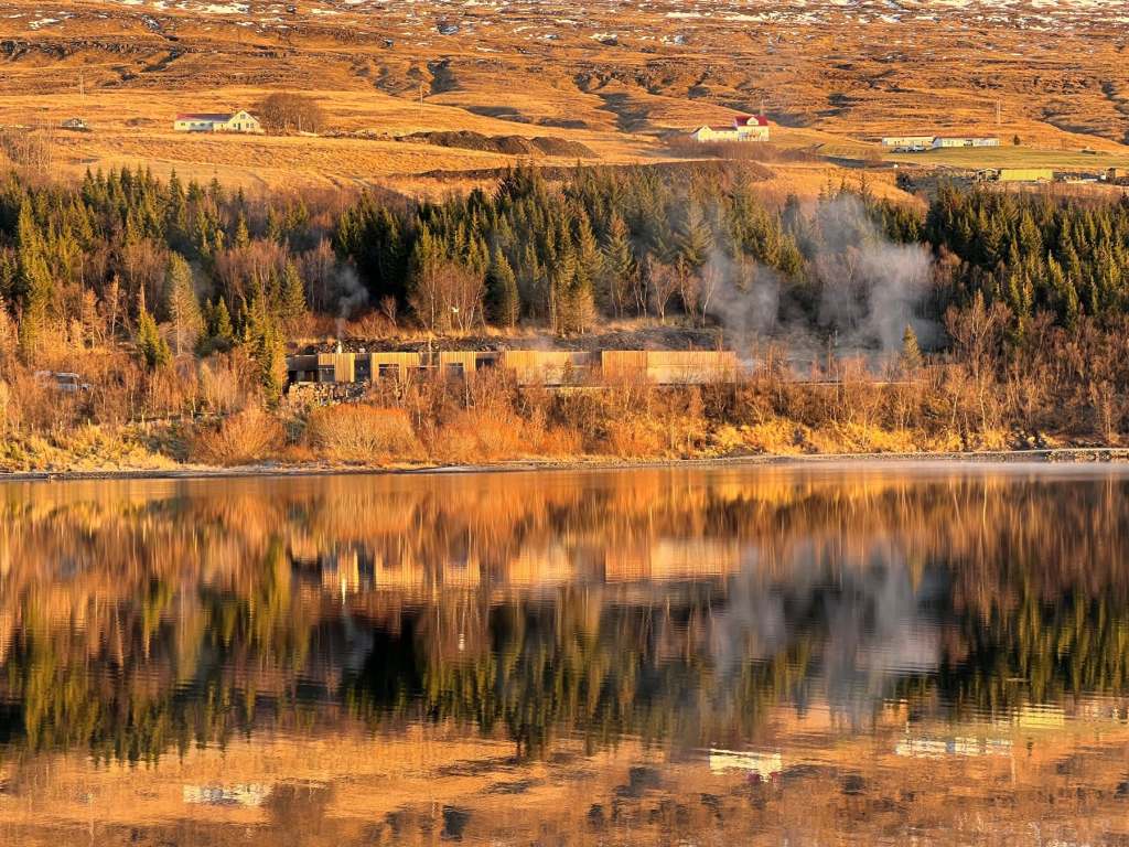 Autumnal colours at Forest Lagoon