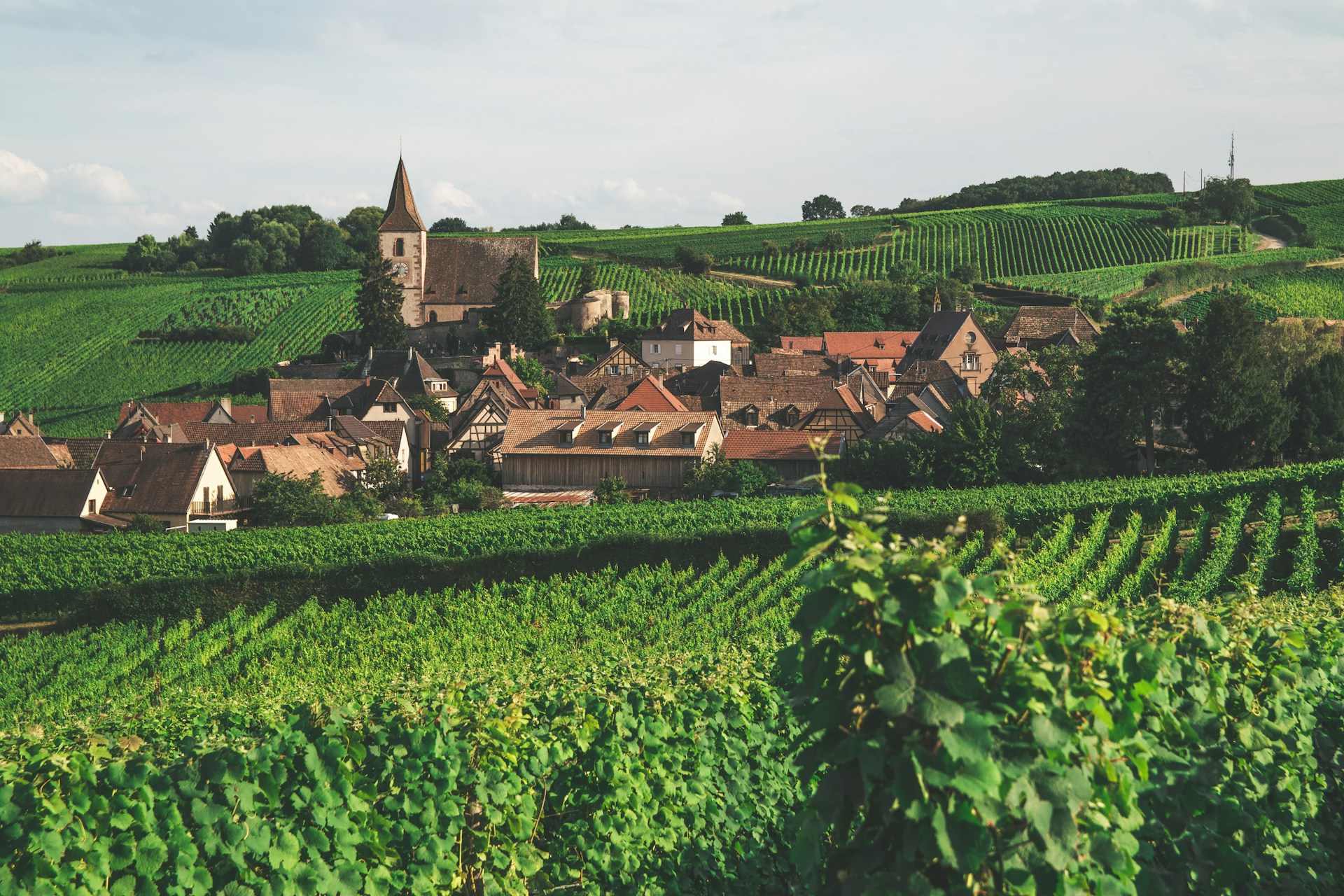 Alsace-France-armands-brants-HnYPXae2ezI-unsplash
