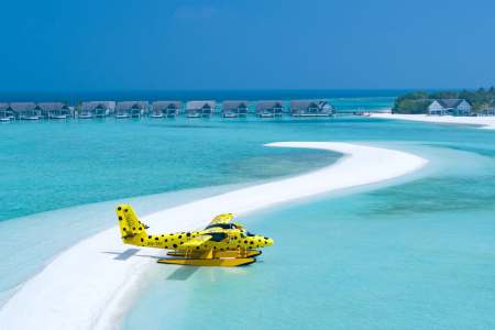 Celebrating Milestones in the Maldives