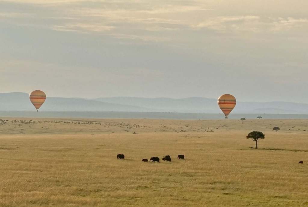 Masai Mara