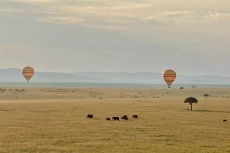 Going Solo in the Maasai Mara Kenya