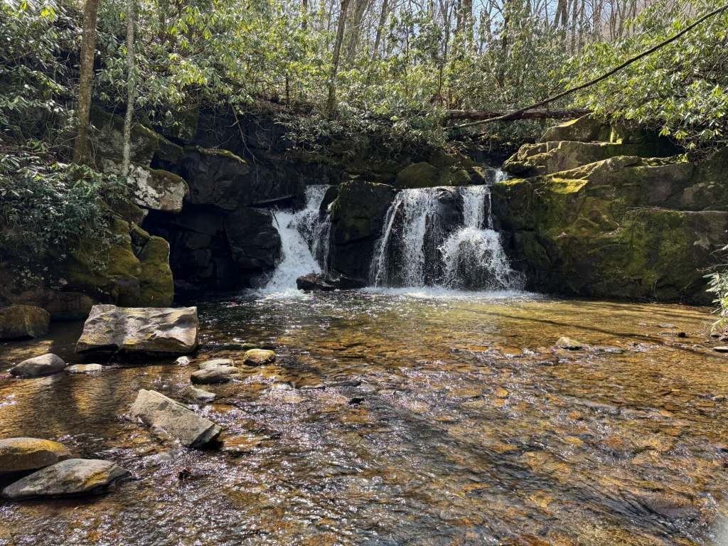 Trek in Great Smoky Mountains National Park