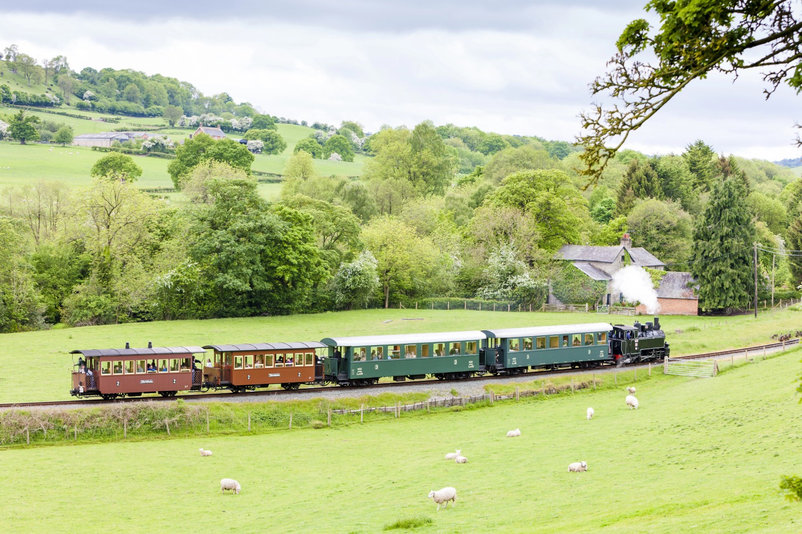 Llanfair-Light-Railway-Welshpool-Wales-Depositphotos_25122473_XL (Large)