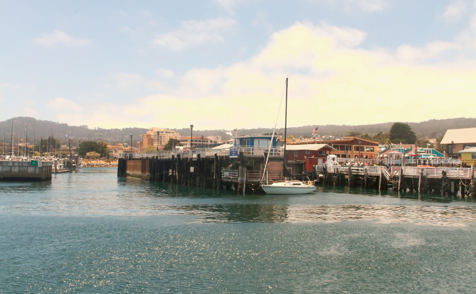 Monterey-USA-mariola-grobelska-4rtD0cSqAzs-unsplash